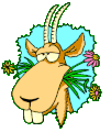  Jokes_Goat.gif 