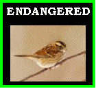  Misto_FaunaEndangered.gif 