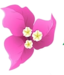  Misto_Flora_Bouganville1.jpg 