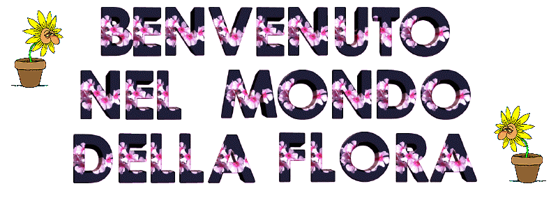  WhatAWonderfulWorld_Flora_IT.gif 