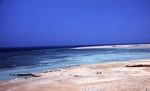  Sinai 