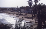  Sinai 